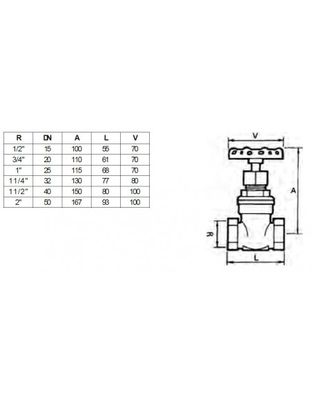 Válvula compuerta PN-16 inox 316 PTFE