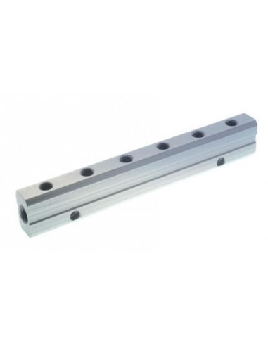 Regleta doble aluminio Aignep 6048