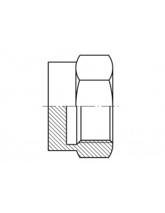 Tapón hembra hexagonal rosca BSP