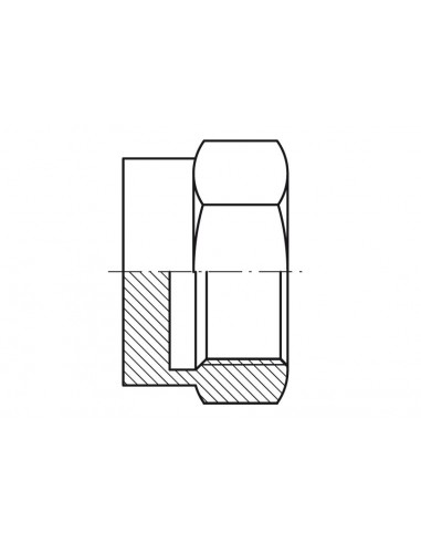 Tapón hembra hexagonal rosca BSP