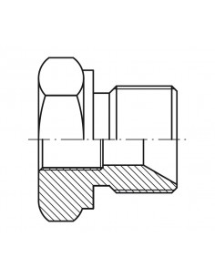 Tapón reductor macho-hembra BSP