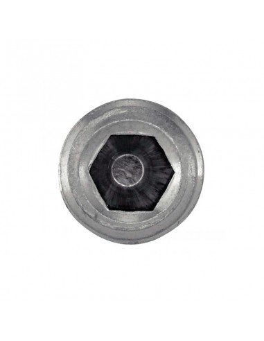 Espárrago Allen DIN 913 inox A4