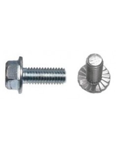 Tornillo collar grafilado DIN 6921 8.8 cincado 2