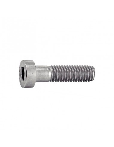 Tornillo Allen DIN 6912 inox A4