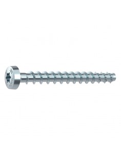 Tornillo anclaje Torx cabeza redonda Multi-Monti Plus P 396