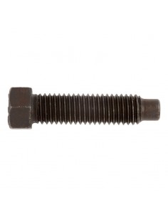 Tornillo guía pivote DIN 561 8.8