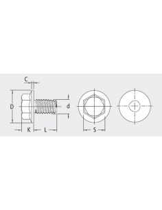 Tornillo hexagonal Celo Taptite II TT78 2
