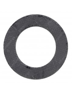 Junta BelpaGraf SE 2mm DIN-2690 PN10