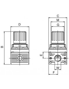 Regulador Aignep T020 Mini 0-8 bar 2
