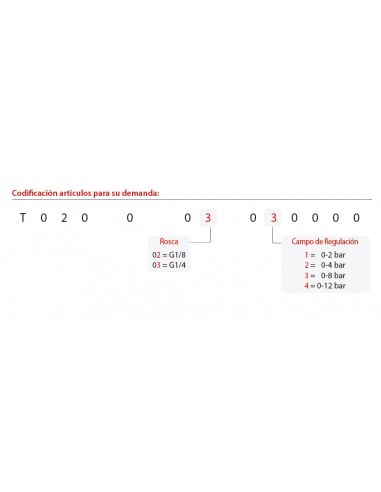 Regulador Aignep T020 Mini 0-8 bar