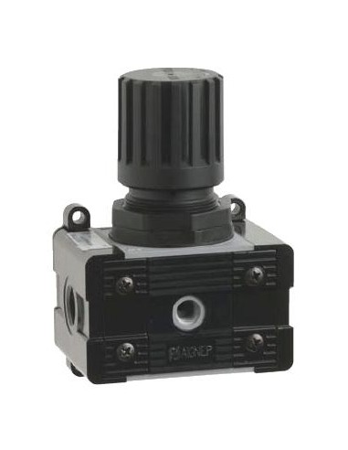 Regulador Aignep T020