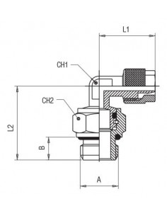 Codo orientable macho cilíndrico tórica Aignep 1115 2