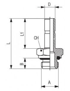 Adaptador macho cilíndrico tórica Aignep 50600 2