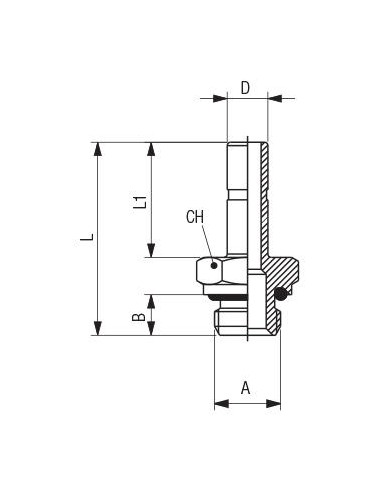 Adaptador macho cilíndrico tórica Aignep 50600