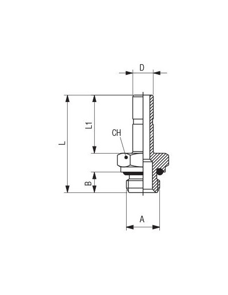 Adaptador macho cilíndrico tórica Aignep 50600