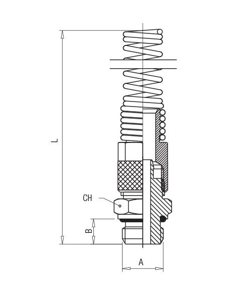 Racor recto con muelle Aignep 1028