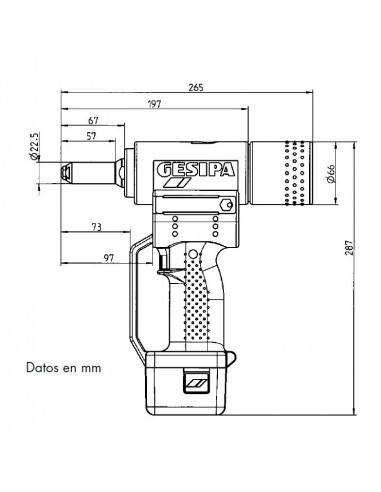 Remachadora batería Gesipa Accubird 143 4898