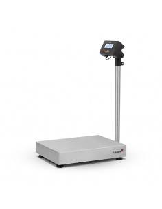 Bascula plataforma uso industrial intensivo Gram ZMISSIL 2