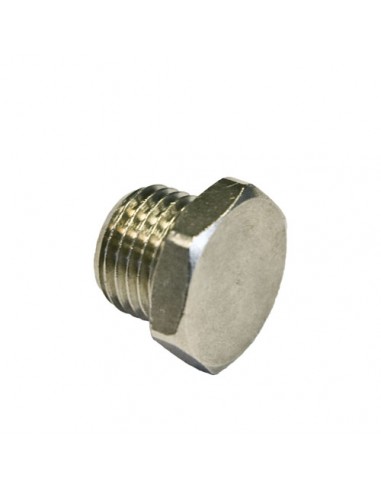 Tapón macho cilíndrico hexagonal Aignep 3020