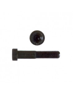 Tornillo Allen DIN 6912 8.8 pavonados