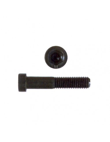 Tornillo Allen DIN 6912 8.8 pavonados