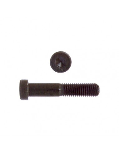 Tornillo Allen DIN 7984 8.8 pavonados