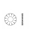 Arandelas dentadas