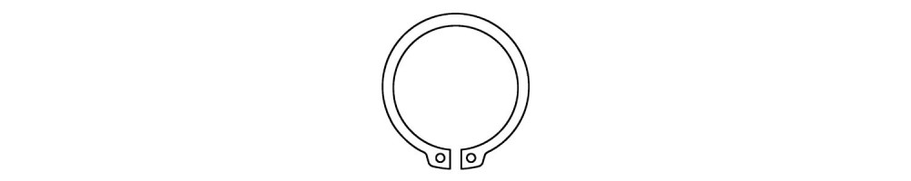Anillos