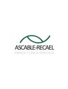 Ascable-Recael