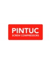 Pintuc